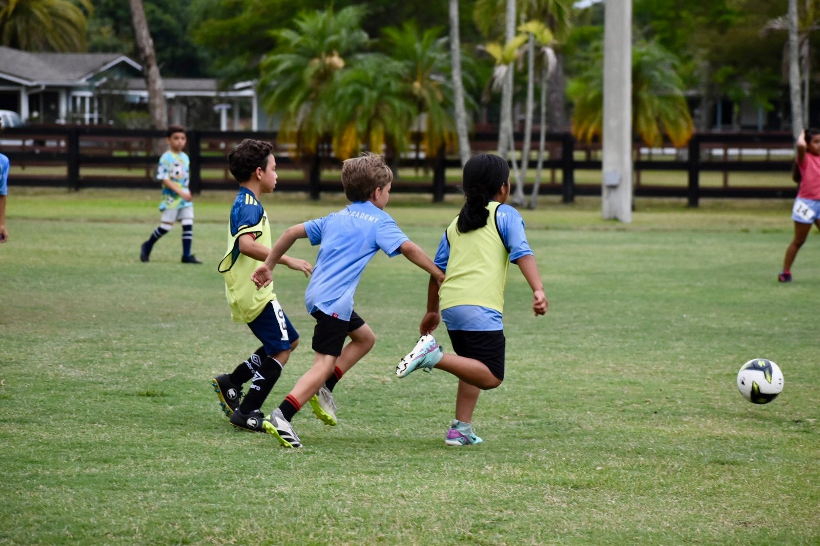 Group of children with soccer balls